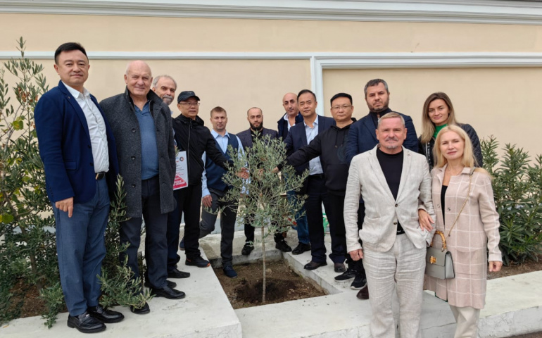 Посадка дерева дружбы