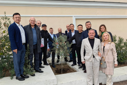 Посадка дерева дружбы